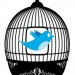 Twitter-vogeltje