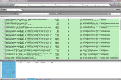 NewsLeecher 5.0 bèta 8 screenshot