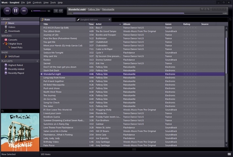 Songbird 1.10 screenshot (481 pix)
