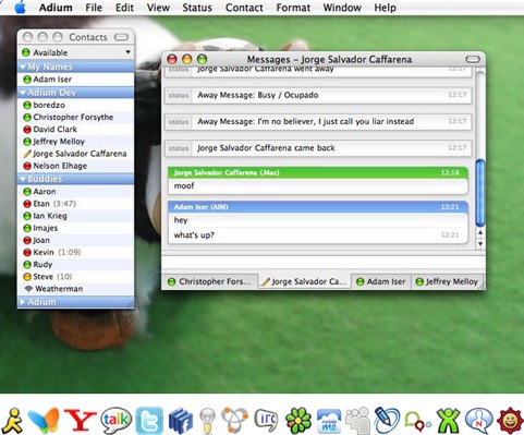 Adium screenshot (481 pix)