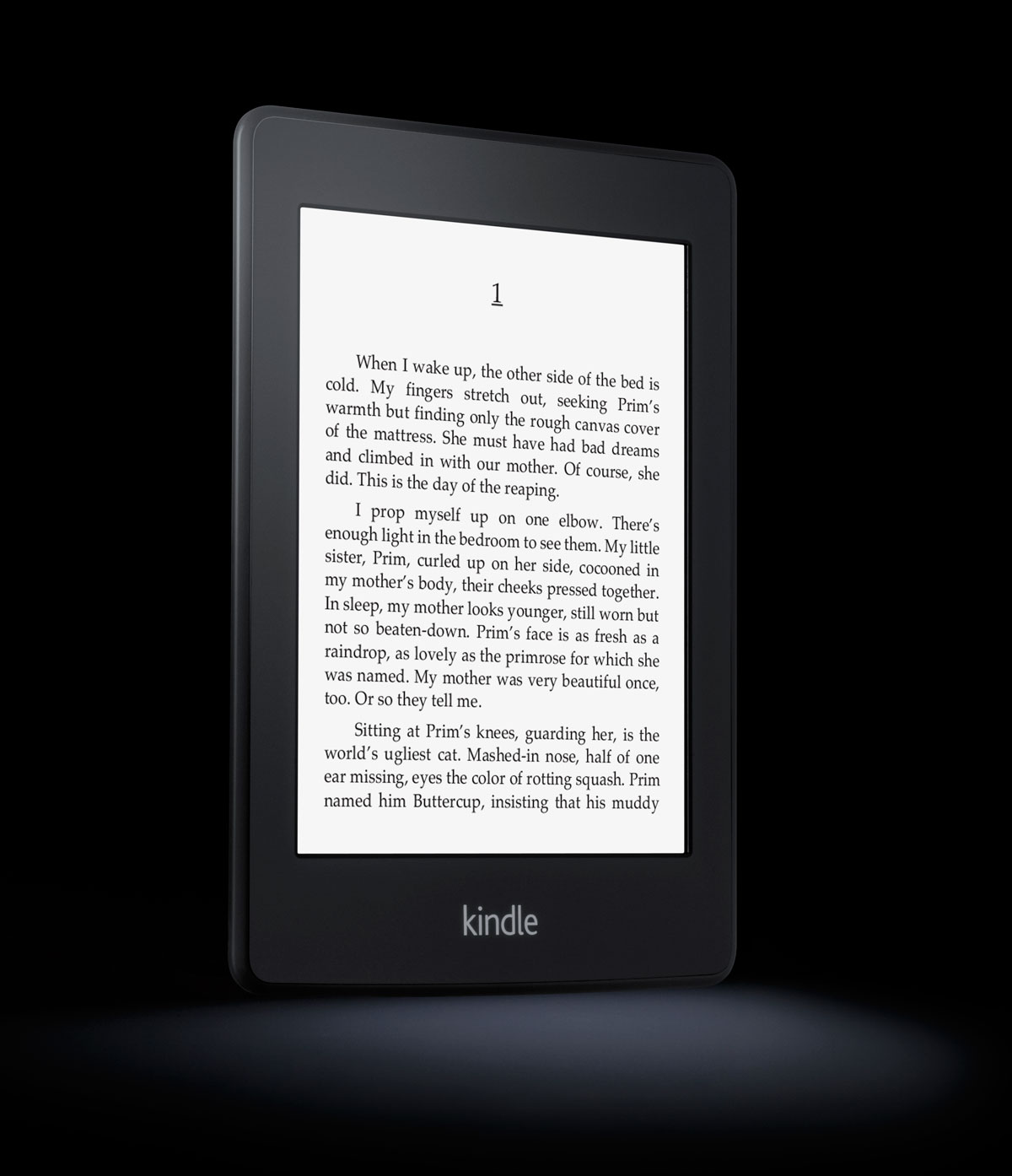 Amazon Kindle Paperwhite 2013 Zwart: beste prijzen, echte reviews