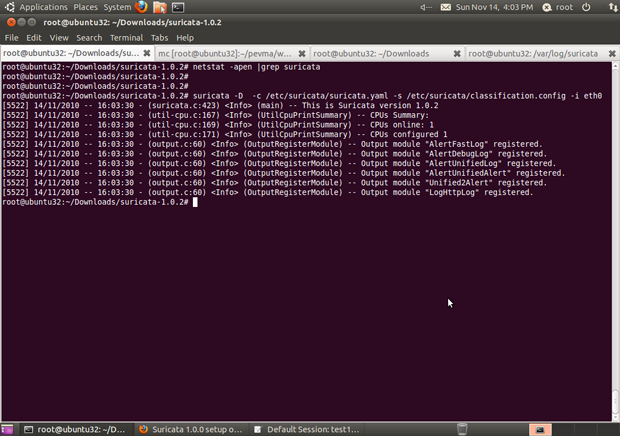 Suricata screenshot (620 pix)