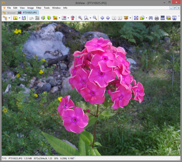 XnView screenshot (620 pix)