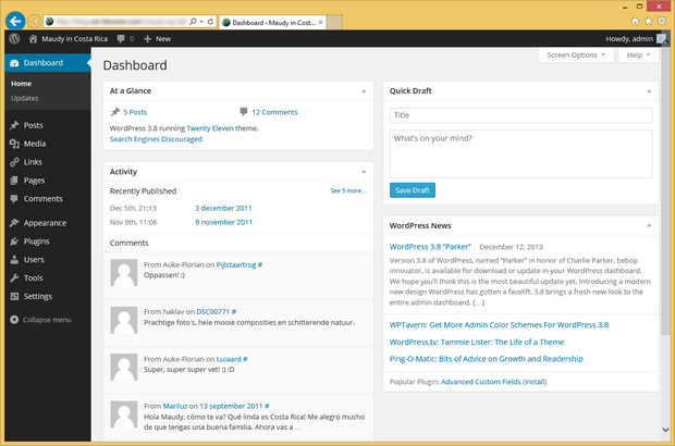 WordPress screenshot (620 pix)