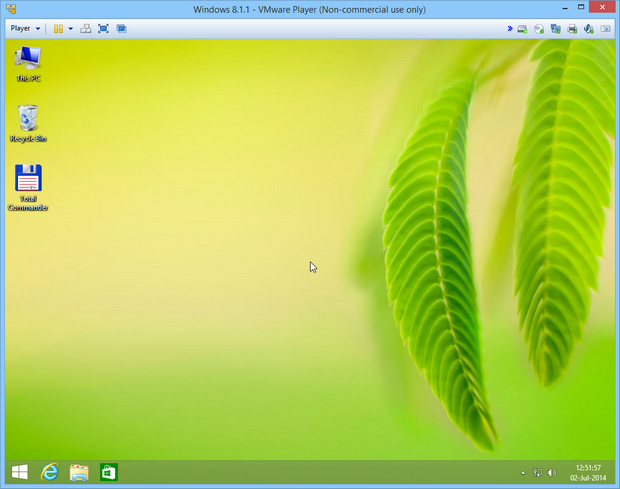 VMware Player 6.0 screenshot (620 pix)
