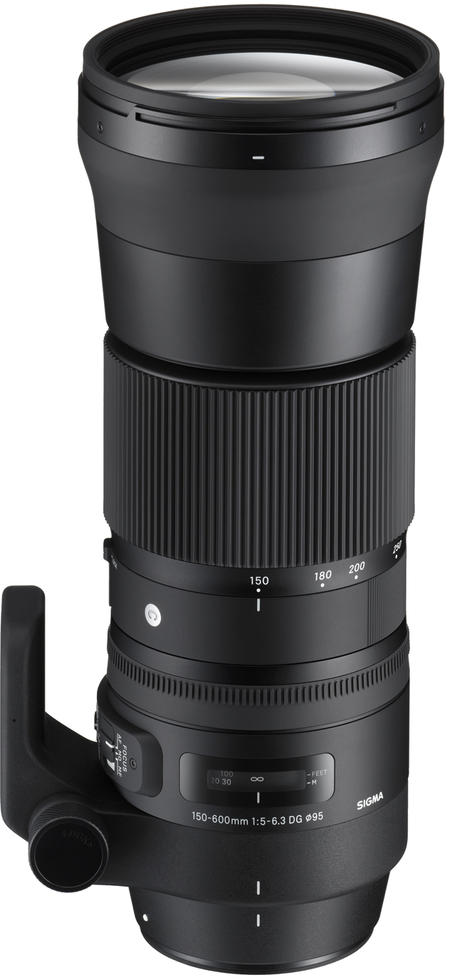 SIGMA 150-600mm F5-6.3 DG OS HSM ニコンF 150-600mm F5-6.3 DG OS HSM | Contemporary / ニコンFマウント用