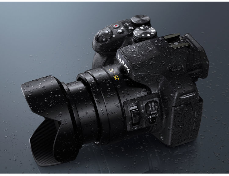 Specificaties van Panasonic Lumix DMC-FZ300 Zwart - Tweakers