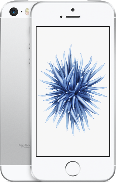 iPhone SE Silver 16 GB その他 Apple iPhone SE 16GB Srebrny - Cena, opinie na Ceneo.pl