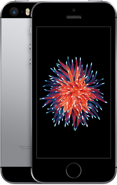 Apple iPhone SE 128GB Grijs: beste prijzen, echte reviews en