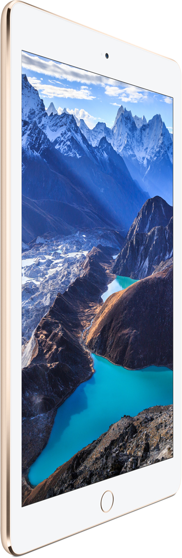 Apple iPad Air 2 Wi-Fi 32GB Goud: beste prijzen, echte reviews en