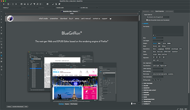 BlueGriffon screenshot (620 pix)
