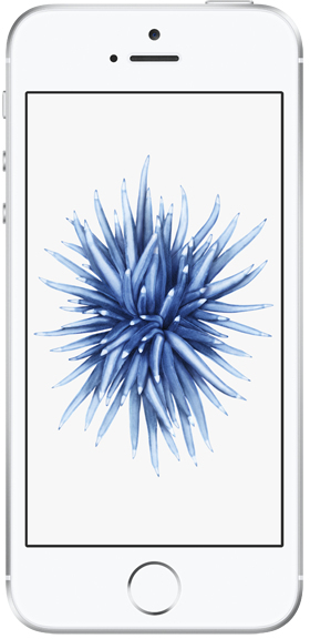Apple - Apple iPhone SE 32GB シルバー Apple iPhone SE 32GB Zilver: beste prijzen, echte reviews en