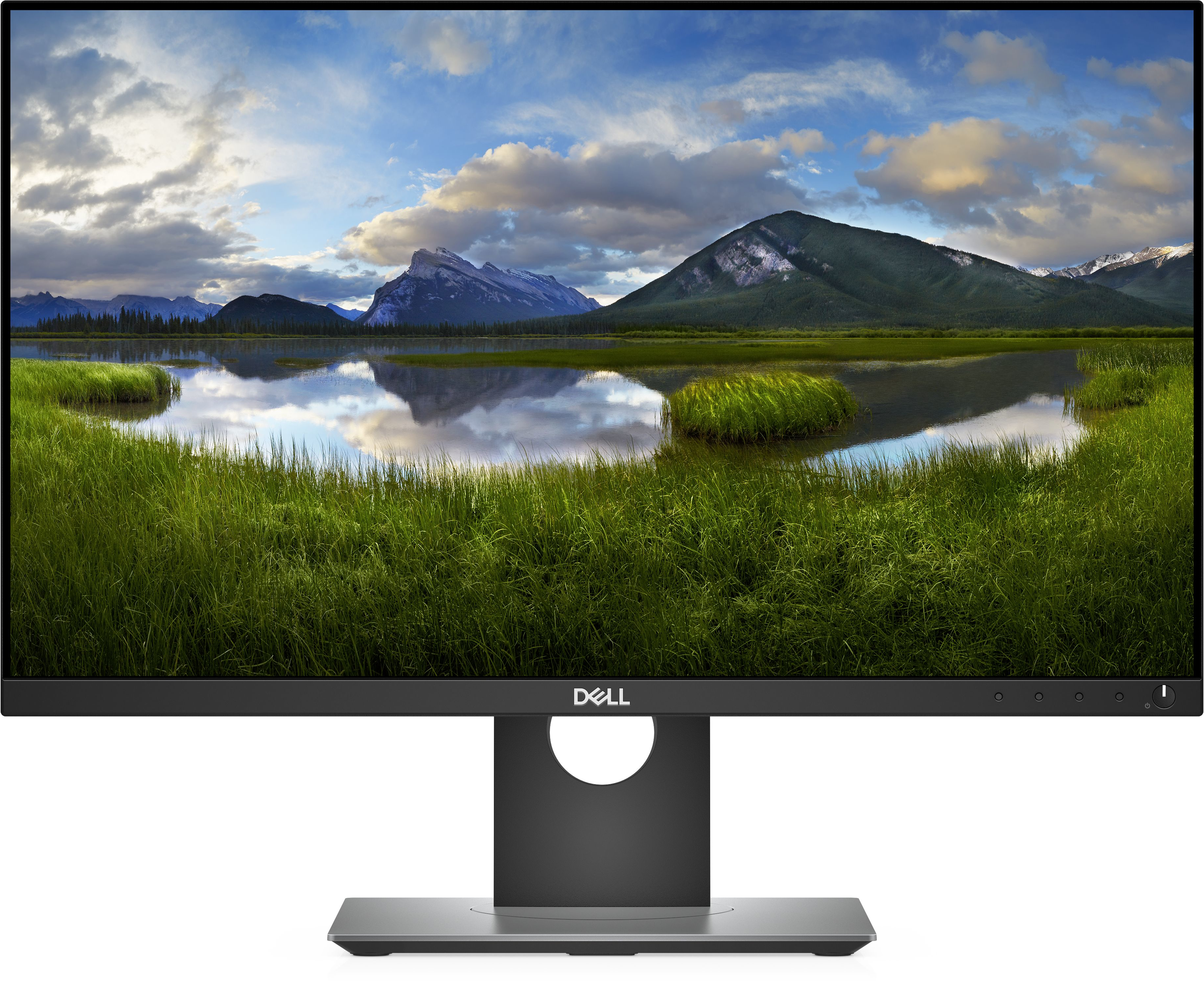 Dell Professional P2418D Zwart: beste prijzen, echte reviews en