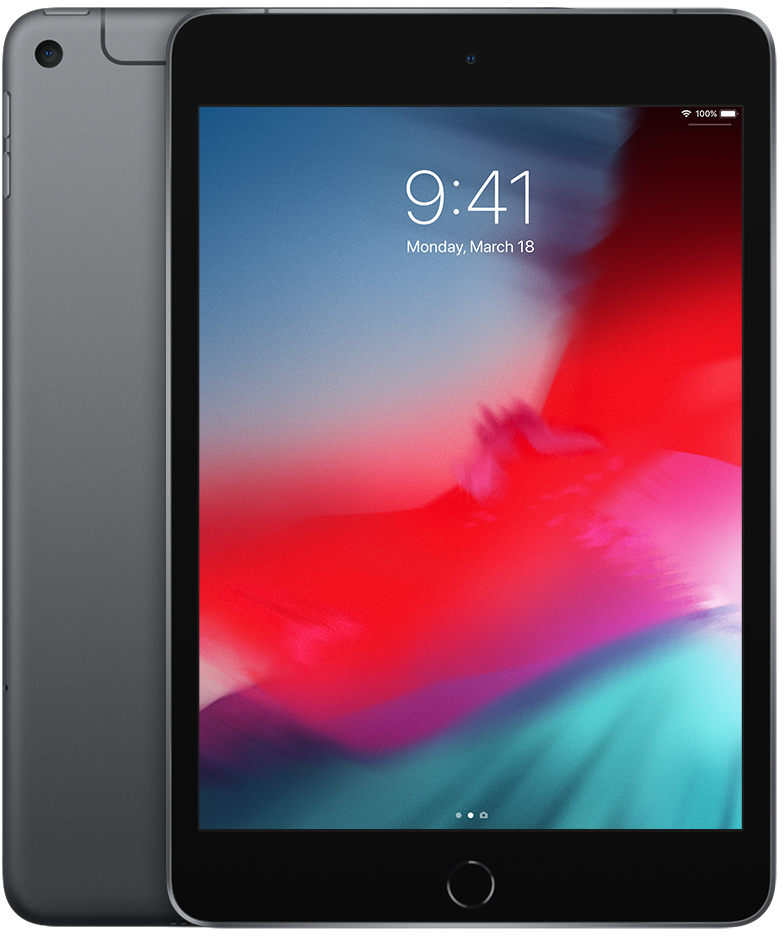 Apple iPad Mini (2019) Wi-Fi + Cellular 64GB Grijs: beste prijs
