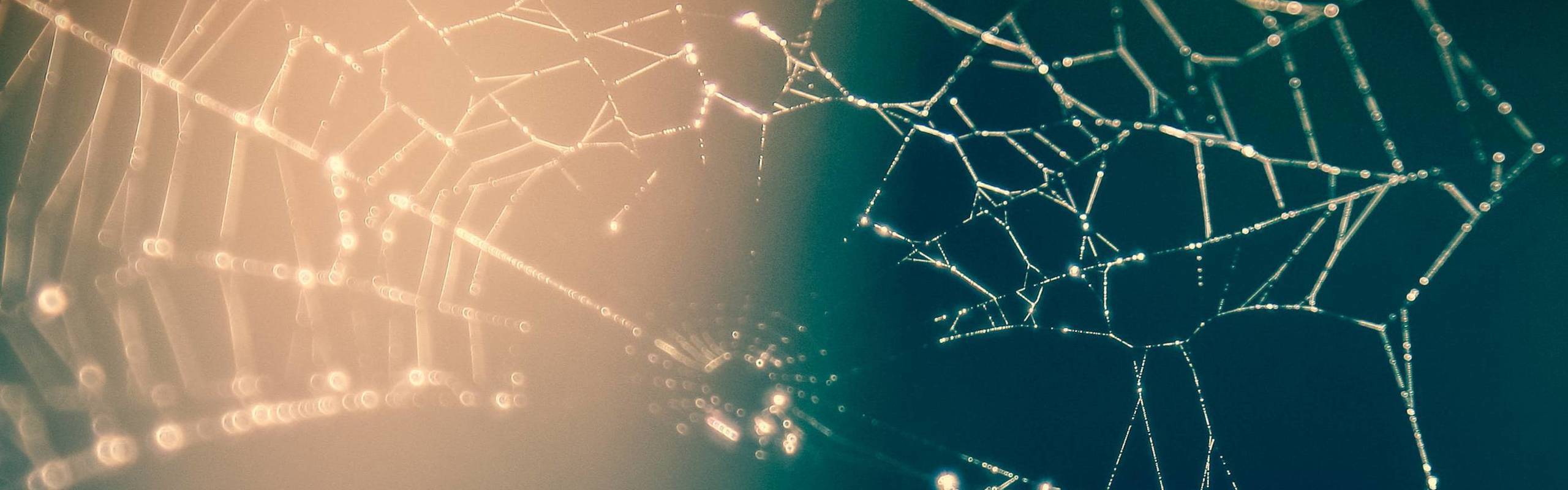 Een nieuw internet - Achtergrond - Tweakers