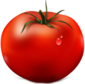 FreshTomato logo (Über)