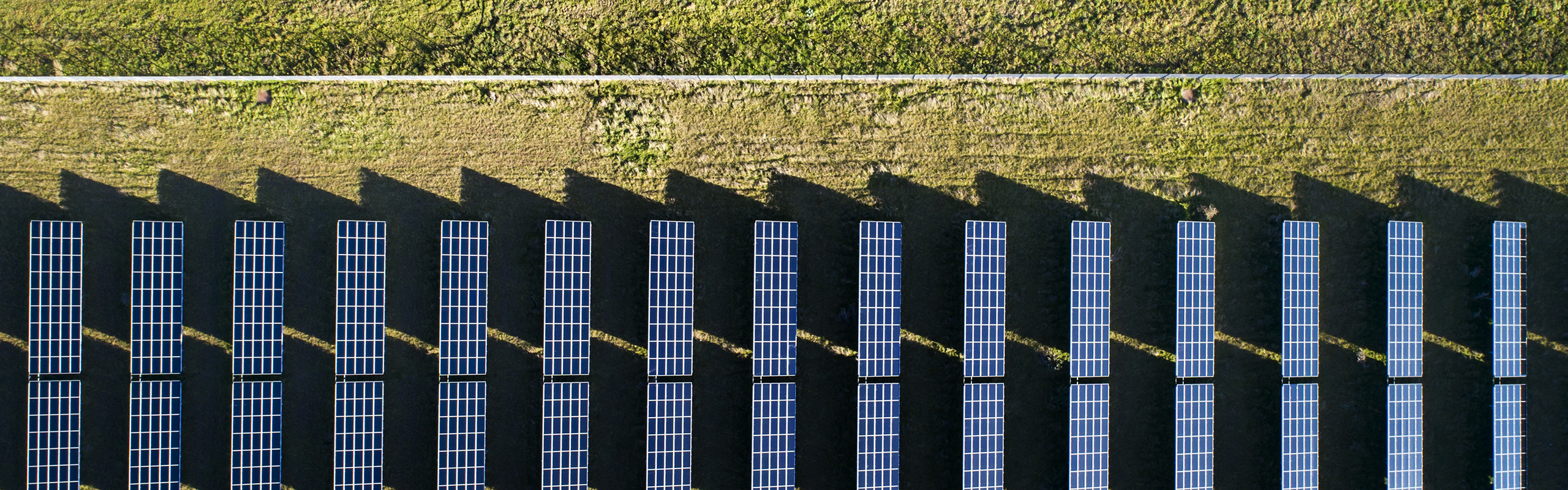 Aanbod zonne- en windenergie was zaterdag even groter dan totale vraag -  Tweakers