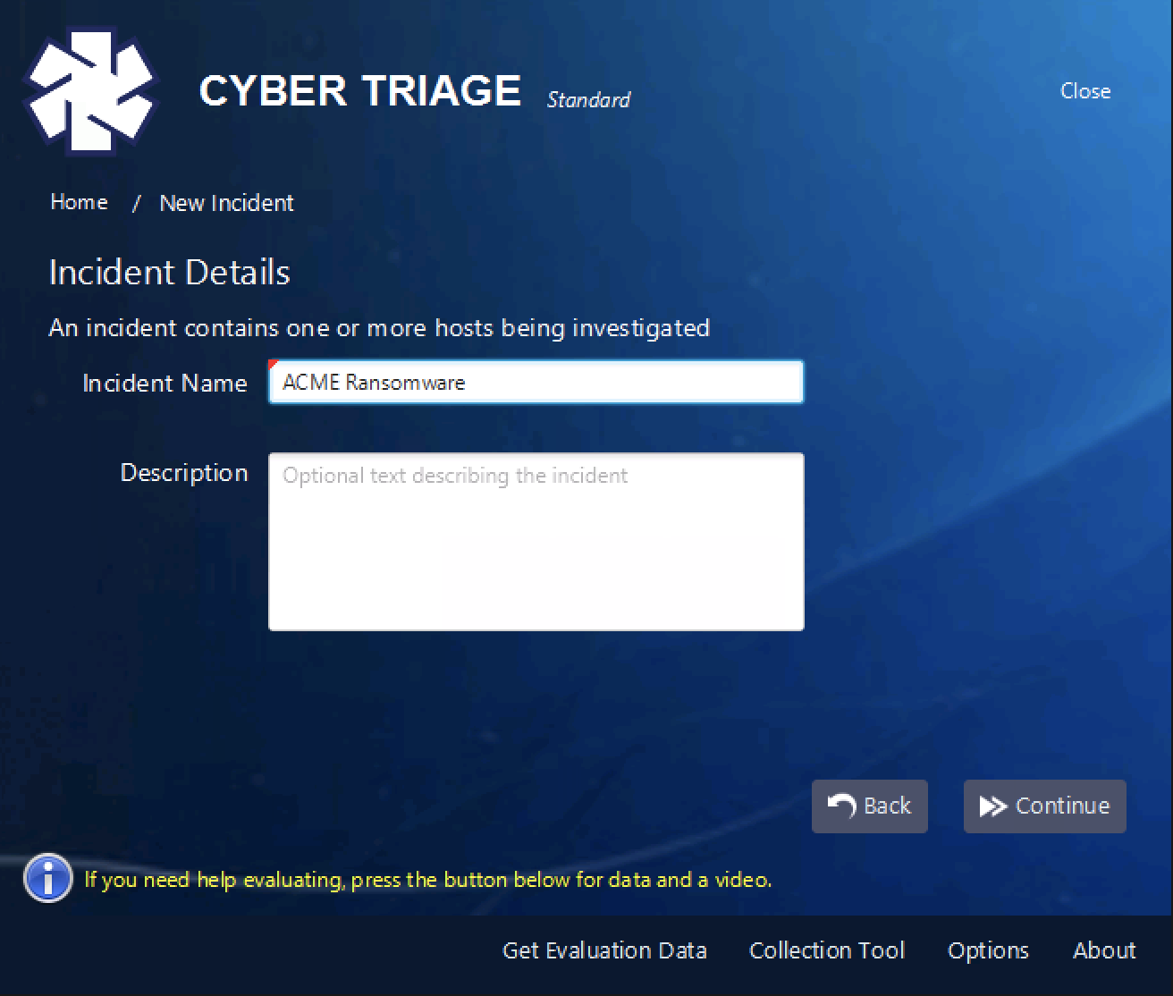 Cyber Triage 