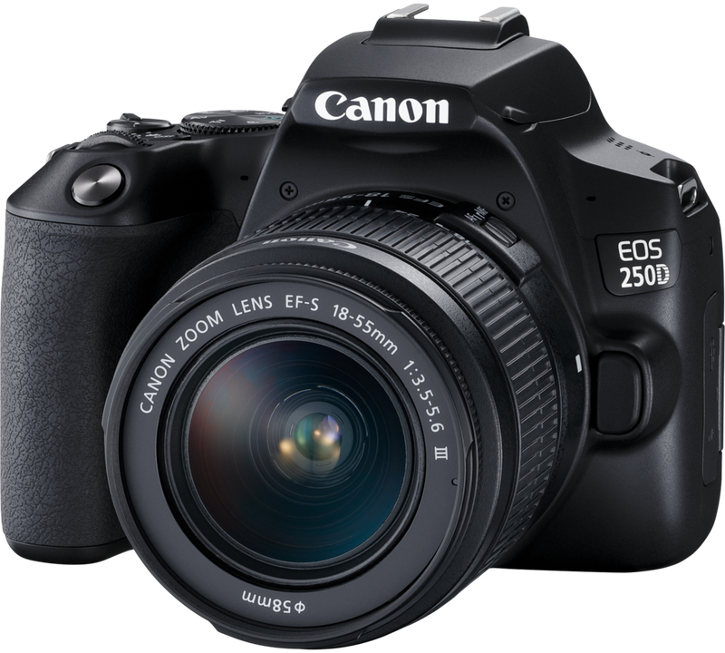 Canon EOS50D/EFS 18-55mm (良品） Canon EOS 250D + 18-55mm f/4-5.6 + 50mm f/1.8 Zwart: beste prijzen