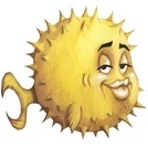 Image for the article: Software-update - OpenBSD 7.9