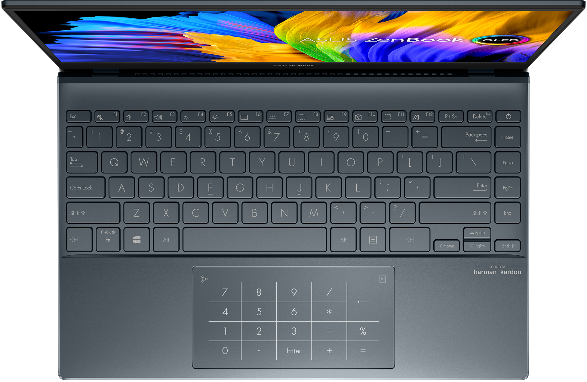 ASUS ZenBook 13 OLED UM325UA-KG127W: beste prijzen, echte reviews