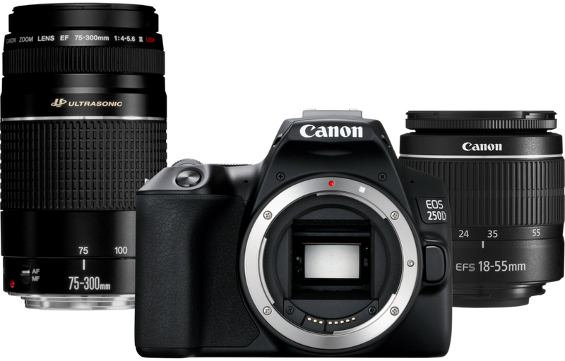 Canon EOS 250D + EF-S 18-55mm f/3.5-5.6 III + EF 75-300mm f/4-5.6