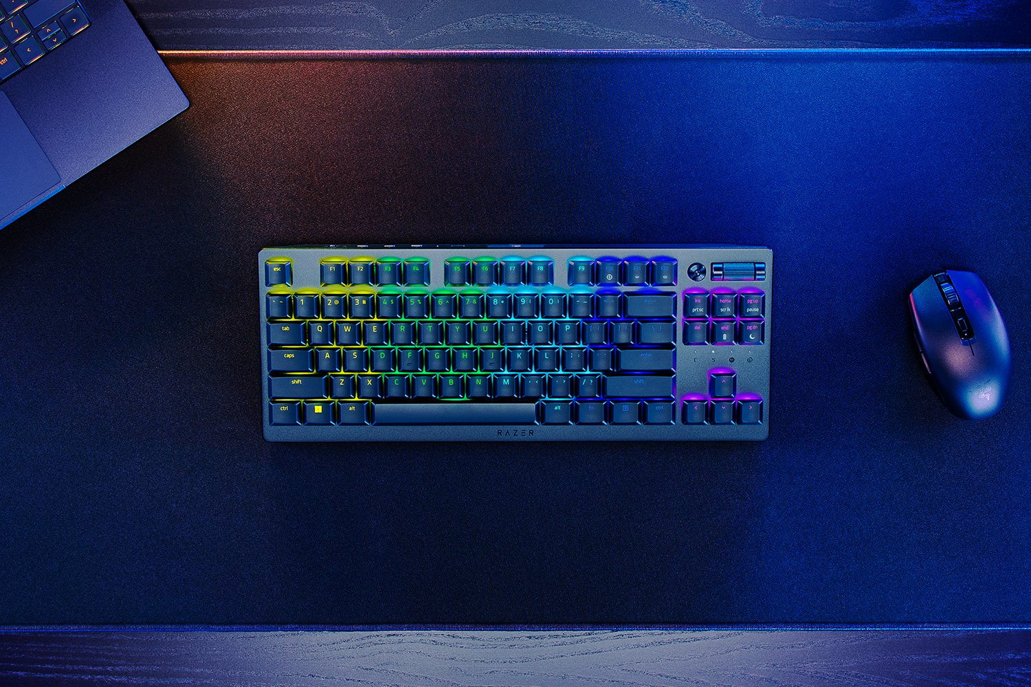 Razer DeathStalker V2 Pro Tenkeyless (Qwerty US) Wit: beste prijs
