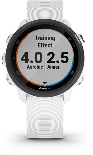 Garmin Forerunner 245 Music Wit (Wit): beste prijzen, echte