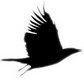 Data Crow logo (79 pix)