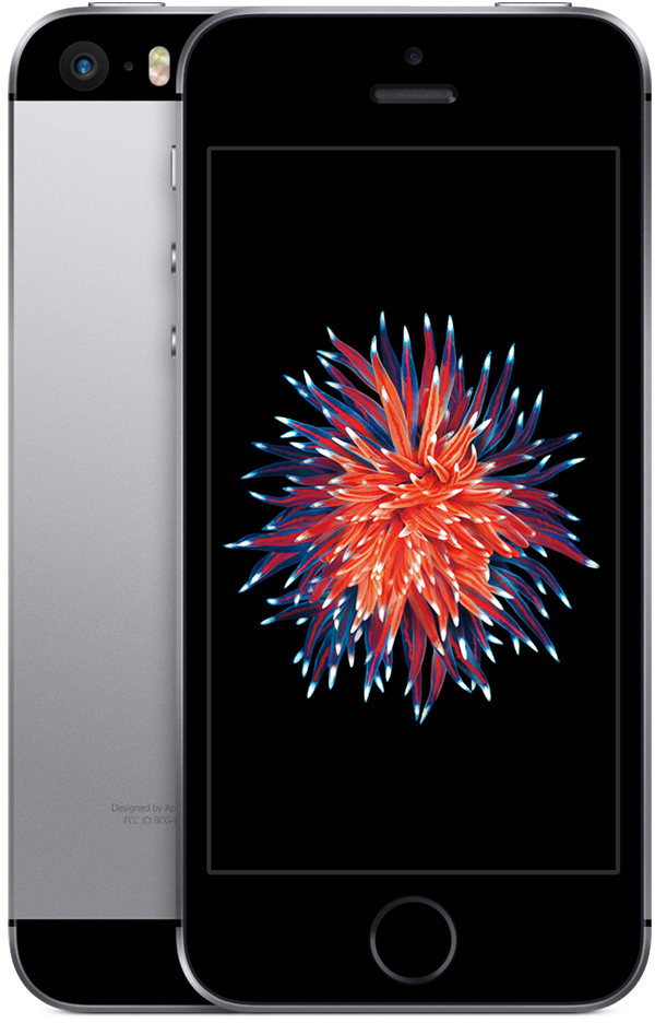Apple iPhone SE 32GB Grijs: beste prijzen, echte reviews en