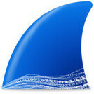 Image for the article: Software-update - Wireshark 4.6.6