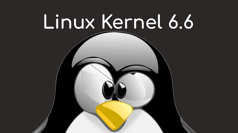 Linux Kernel 6.6