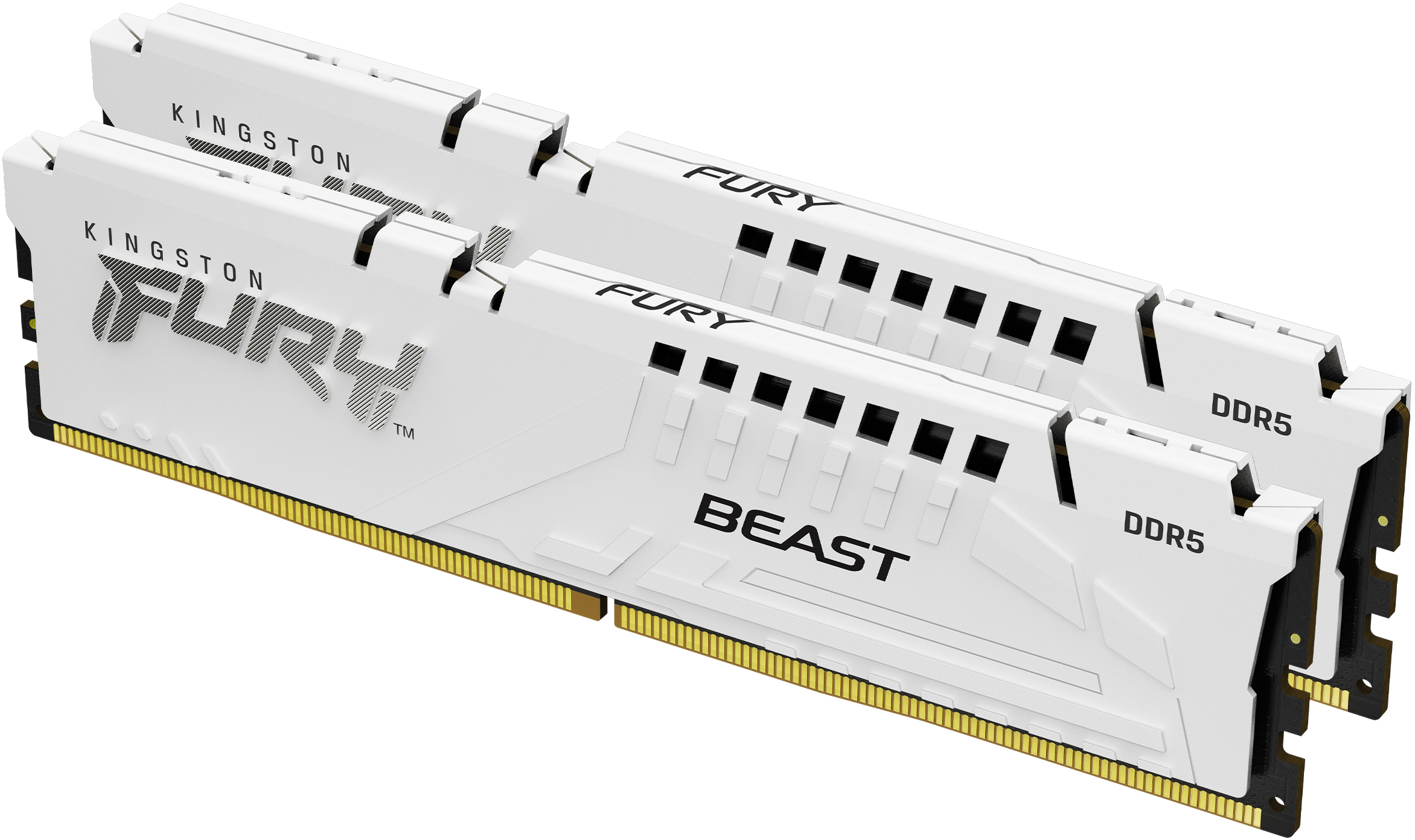 Kingston Fury Beast KF560C30BWEK2-32: beste prijzen, echte reviews