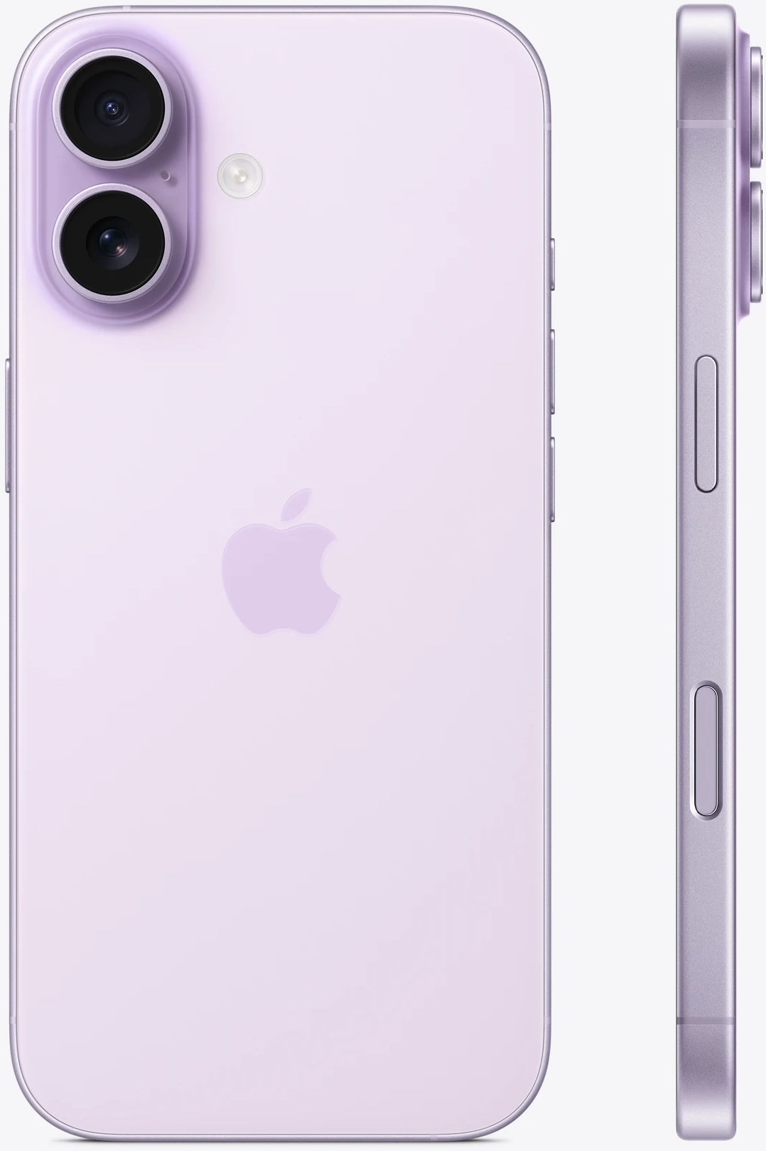 Apple iPhone 17, 512GB opslag Paars: beste prijzen, echte reviews