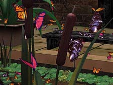 Microsoft X-Box screenshot