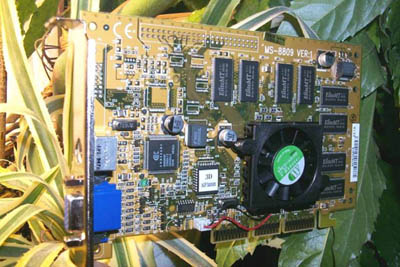 De MSI GeForce in de plantenbak :-)