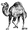 Het overheilige perl logo - beter dan een koe!