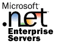 Microsoft Enterprise Server Logo