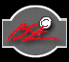 BSA logo