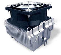 GlobalWin FOP38