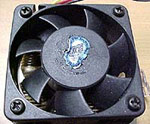 Dode Moter One fan (bovenkant)