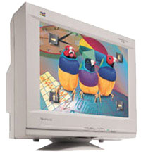 Viewsonic FP790