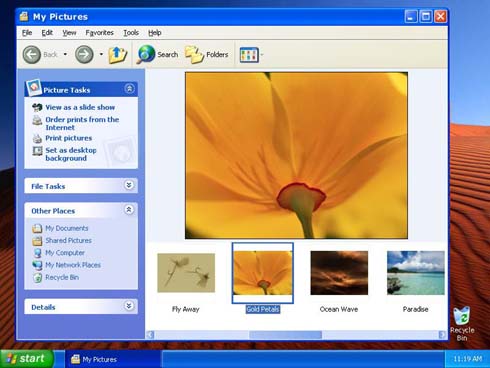 Windows XP MY Pictures