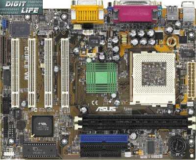 Asus CUPLE-VM