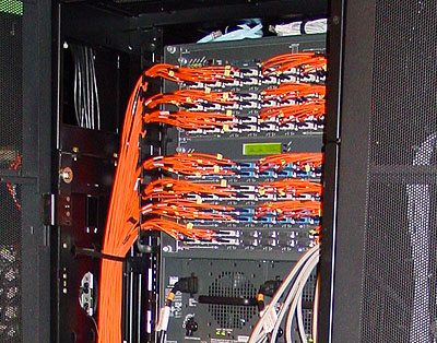 Genesis cluster - Switch   gezoomed