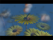 Moppi Gerbera screenshot