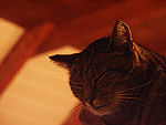 Minolta Dimage7 sample image (290)