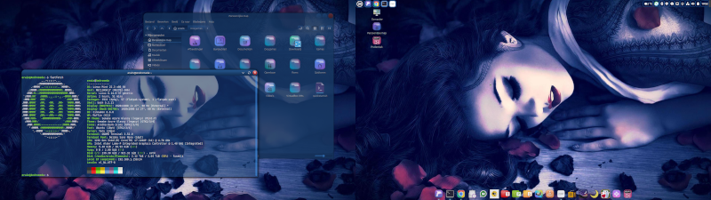 Afbeeldingslocatie: https://tweakers.net/fotoalbum/image/1vEpzxw58rTFmToYDoOVBFEw.png