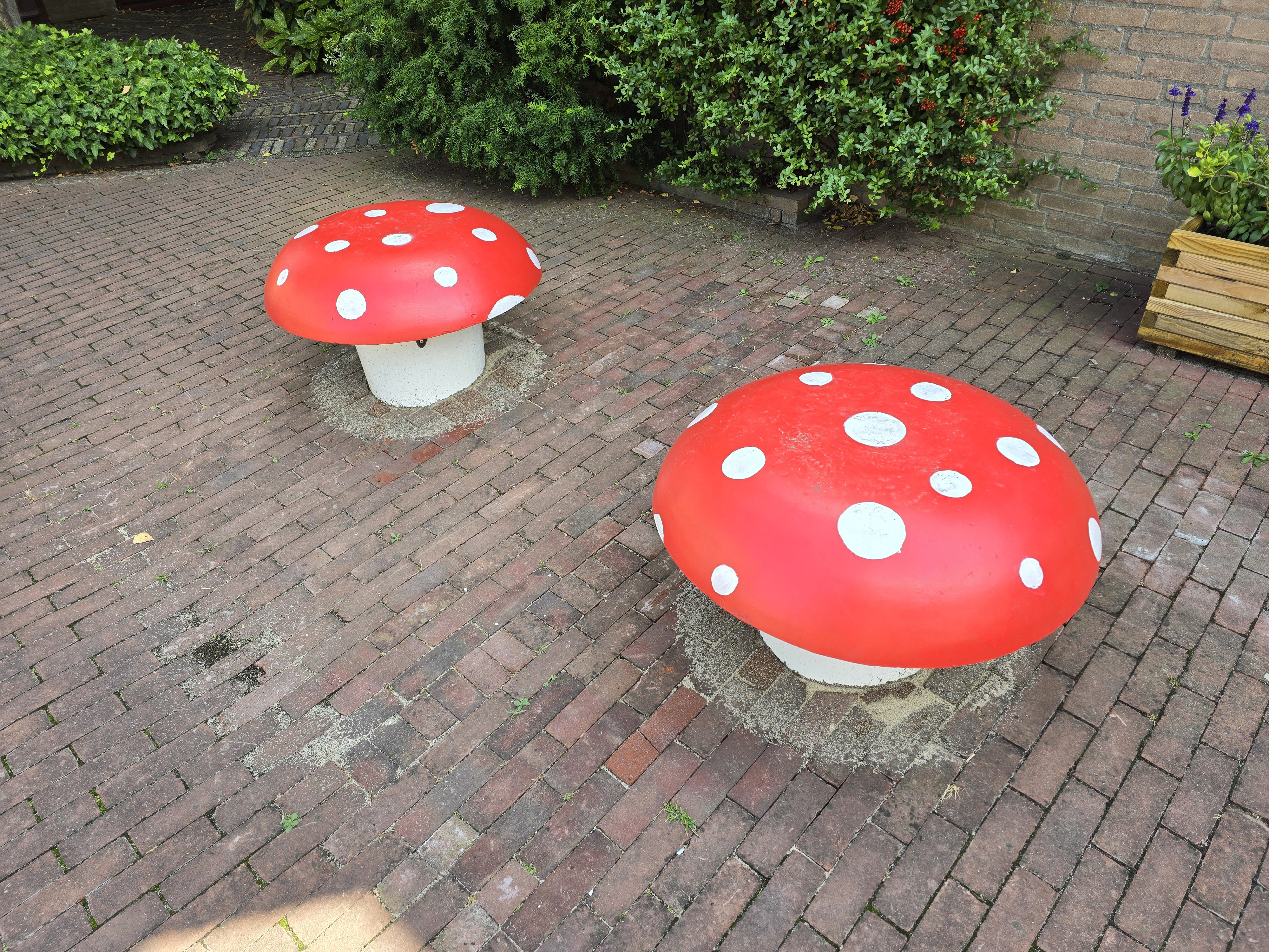 Afbeeldingslocatie: https://tweakers.net/fotoalbum/image/FidXzqBWyYJebuoP1uv3VYB6.jpg