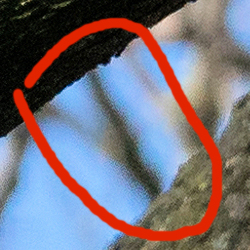 Afbeeldingslocatie: https://tweakers.net/fotoalbum/image/HNnlBxnbdtWJRpwjmZb2KKM7.jpg